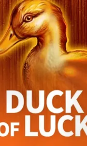 Duck Of Luck Ct